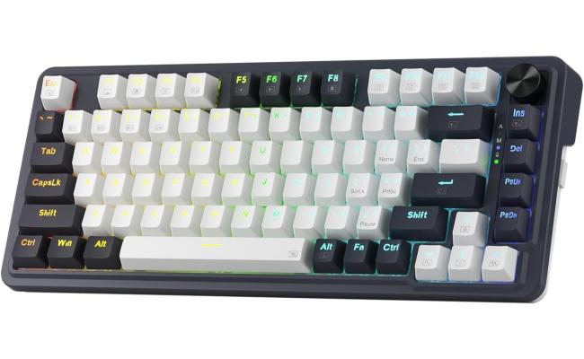 Redragon K673 PRO 75% Wireless Gasket RGB Gaming Keyboard, 3-Modes 81 Keys Compact Mechanical Keyboard Hot-Swap Socket, Dedicated Knob Control and Sound Absorbing Pads, Linear - Red Switch